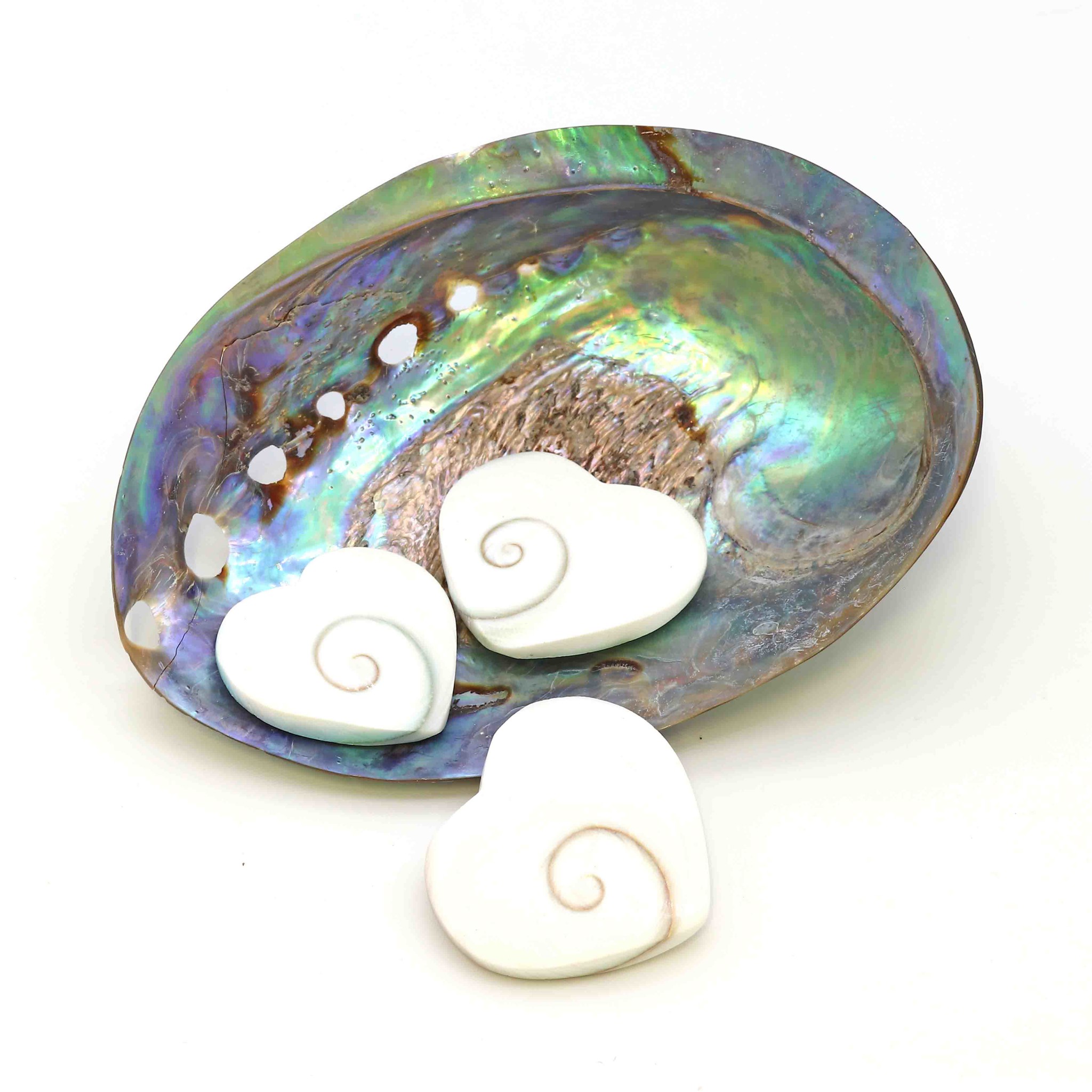 Bild von Shiva Auge Muschel "Love Hearts" 30-35mm 