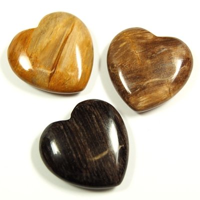 Bild von Versteinertes Holz "Love Hearts" 30x14mm